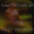 Adult personals phone numbers
