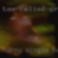 Horny single housewife pussy
